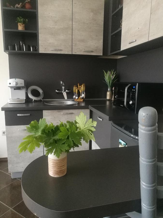 Studio Anastasia Сапарева-Баня Экстерьер фото