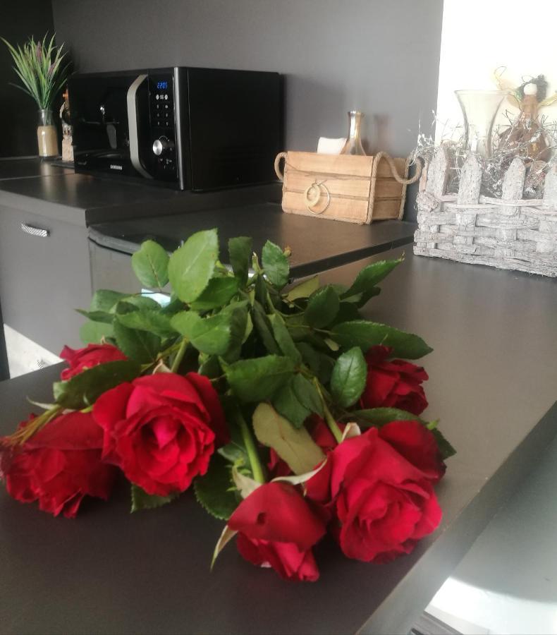 Studio Anastasia Сапарева-Баня Экстерьер фото