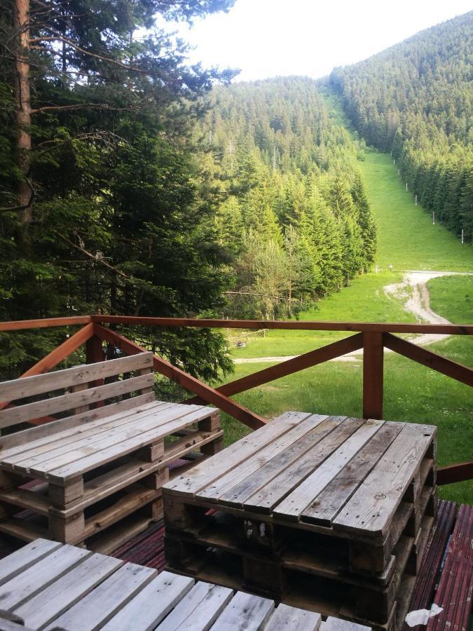 Studio Anastasia Сапарева-Баня Экстерьер фото