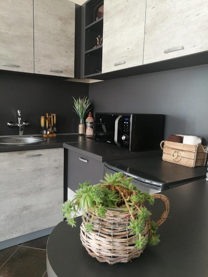 Studio Anastasia Сапарева-Баня Экстерьер фото